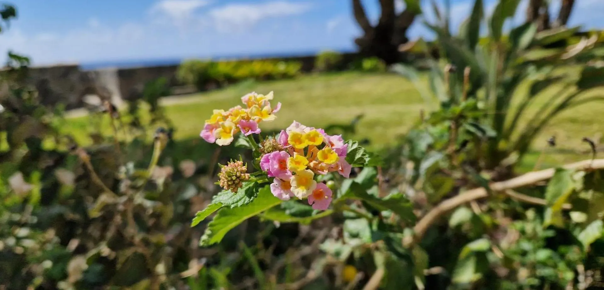Monte Del Moro Ocean View Apartment San Agustin  San Agustin (Gran Canaria)
